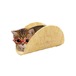 tacocat / SOL