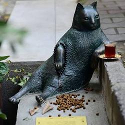 FATCAT