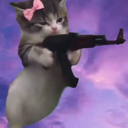 ak47cat