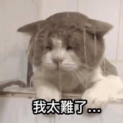 我太难了 / BNB