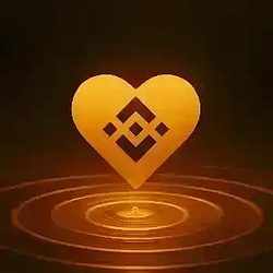 安 / BNB