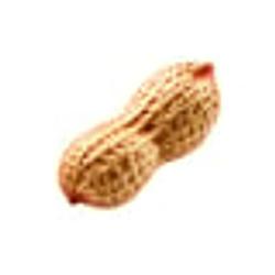 NUT