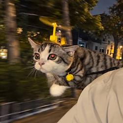 HELIKITTY