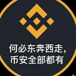 币有 / BNB