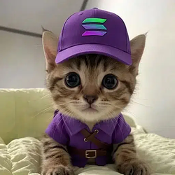 Soly