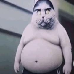 FATCAT