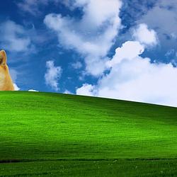WINDOGE XP