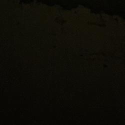 BLCK
