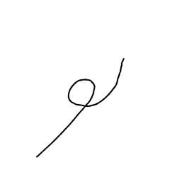 Pube Coin / SOL