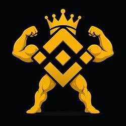 BNB MAXIIII / BNB