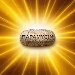 Rapamycin