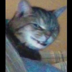 Muehehe