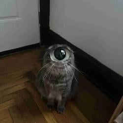 cyclops / SOL