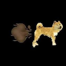 DogeFart / SOL