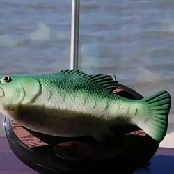 FISH