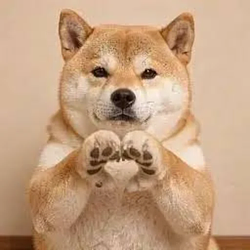 DOGE / SOL