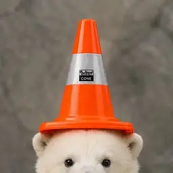 Cone