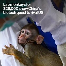 Labmonkey / SOL