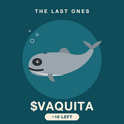 VAQUITA