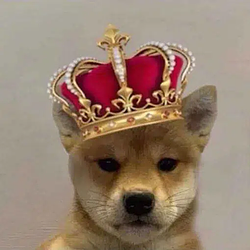 ONEDOG