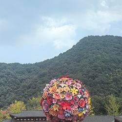有钱花
