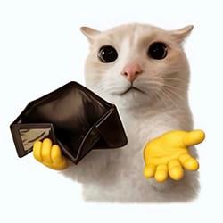 POOR CAT