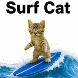 Surfcat