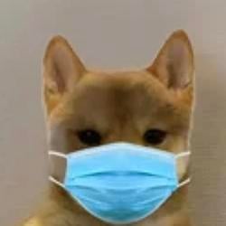 INUMASK