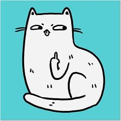 fu-cat
