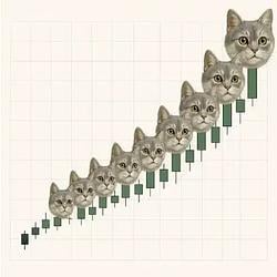 PURRABOLIC / SOL