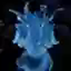 SPAWN / WETH 0.25%