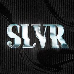SLVR / WETH 5.021%