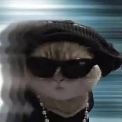 Meowtion / SOL