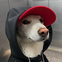 $AuraDog