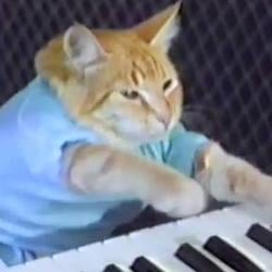 KEYCAT