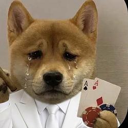 CASINU