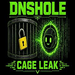 DNSHOLE