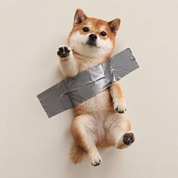 TAPEINU