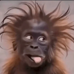 Goofkey