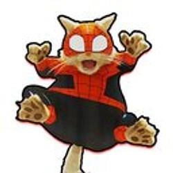 SpiderCat / SOL