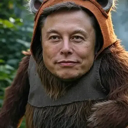 EWOK / SOL