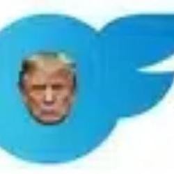 OnlyTrump
