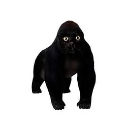 APECAT / SOL