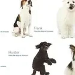 DOGS