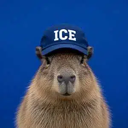 IceCap