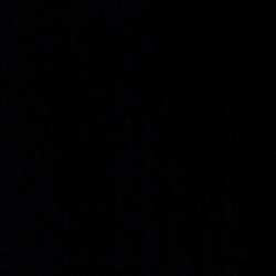 Black / SOL