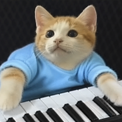 MEOW / SOL