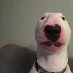 WALTER