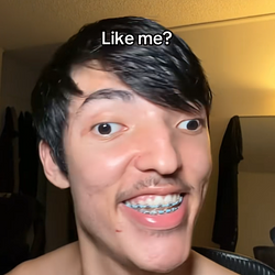Bingoo