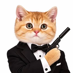 bondcat